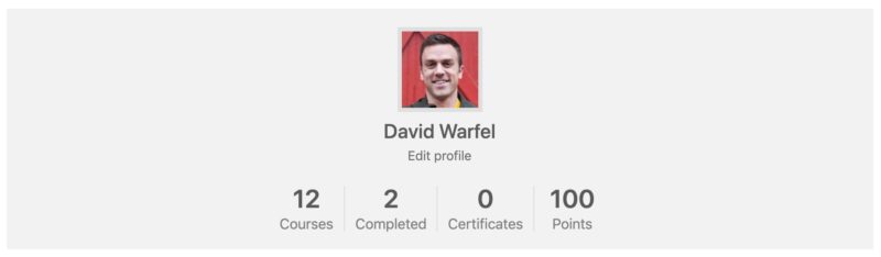 LearnDash Profile, stacked example